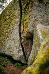 CATTB CA LillaRingvägen Pienerengastie CAP01204 hires