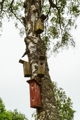 CATTB CA LillaRingvägen Pienerengastie CAP01262 hires