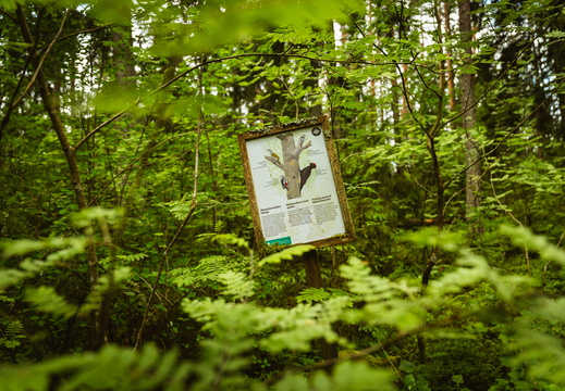 CATTB CA LillaRingvägen Pienerengastie CAP01400 hires