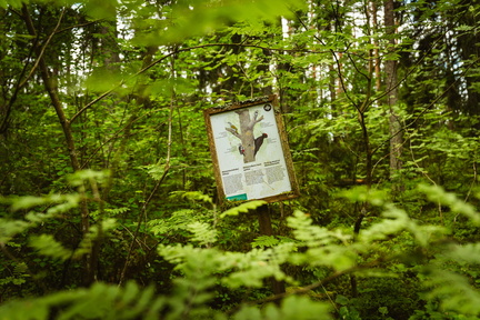 CATTB CA LillaRingvägen Pienerengastie CAP01400 hires