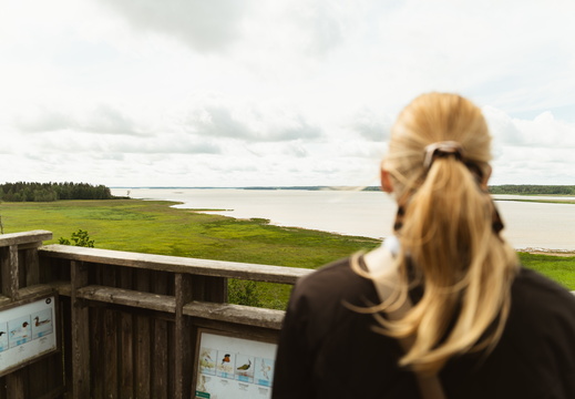 CATTB CA LillaRingvägen Pienerengastie CAP01406 hires