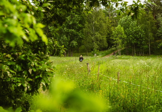 CATTB CA LillaRingvägen Pienerengastie CAP01419 hires