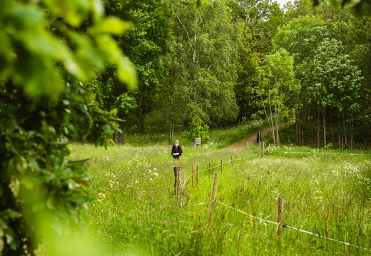 CATTB CA LillaRingvägen Pienerengastie CAP01421 hires