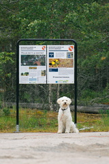 CATTB CA LillaRingvägen Pienerengastie DSC00358 hires