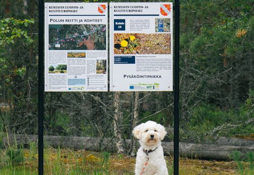CATTB CA LillaRingvägen Pienerengastie DSC00358 hires