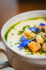 CATTB CA Korpo Backpocket CAP06548 hires