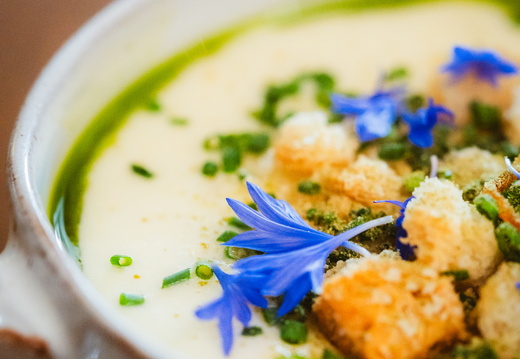 CATTB CA Korpo Backpocket CAP06548 hires