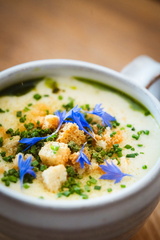 CATTB CA Korpo Backpocket CAP06562 hires