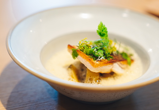 CATTB CA Korpo Backpocket CAP06619 hires