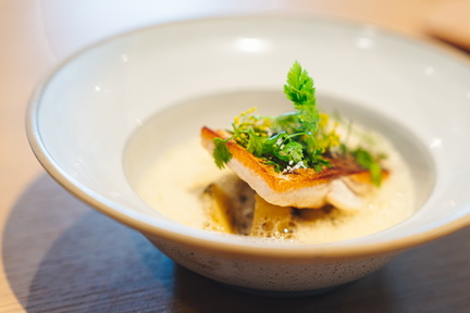 CATTB CA Korpo Backpocket CAP06619 hires