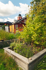 CATTB CA Korpo Backpocket CAP06628 hires