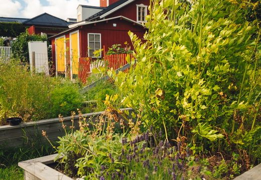 CATTB CA Korpo Backpocket CAP06628 hires