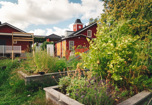 CATTB CA Korpo Backpocket CAP06629 hires