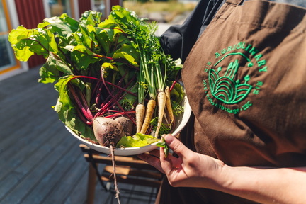 CATTB CA Korpo Backpocket CAP06724 hires