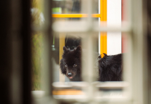 CATTB CA Korpo Backpocket DSC03938 hires