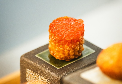 CATTB CA Korpo Backpocket DSC04114 hires