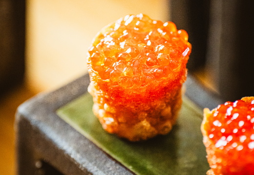 CATTB CA Korpo Backpocket DSC04164 hires