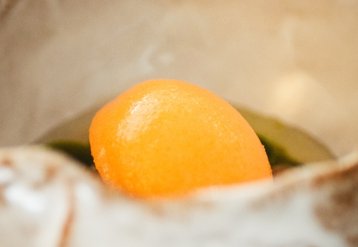 CATTB CA Korpo Backpocket DSC04212 hires