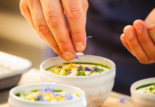 CATTB CA Korpo Backpocket DSC04357 hires