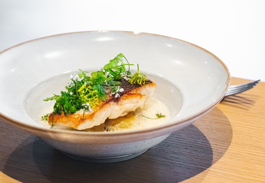 CATTB CA Korpo Backpocket DSC04383 hires