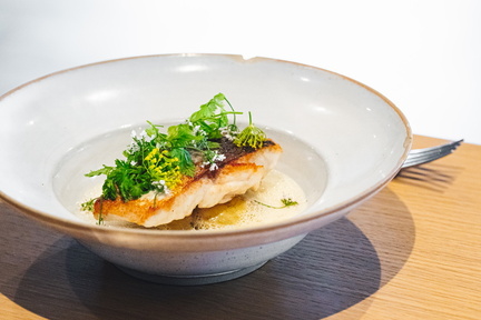 CATTB CA Korpo Backpocket DSC04383 hires