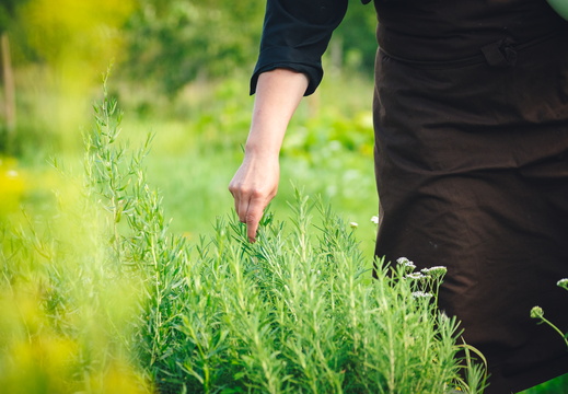 CATTB CA Korpo Backpocket DSC04430 hires