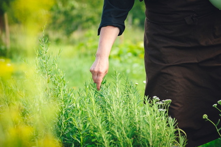 CATTB CA Korpo Backpocket DSC04430 hires
