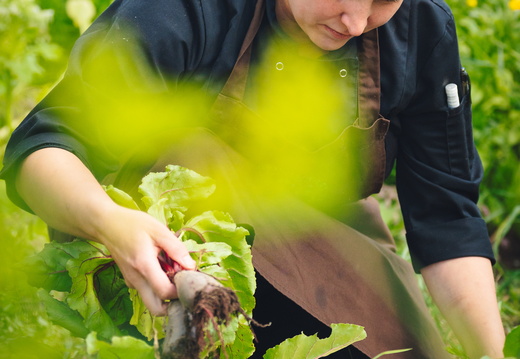 CATTB CA Korpo Backpocket DSC04491 hires