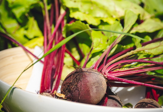 CATTB CA Korpo Backpocket DSC04501 hires