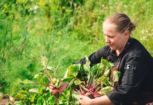 CATTB CA Korpo Backpocket DSC04515 hires