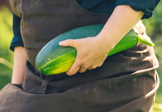 CATTB CA Korpo Backpocket DSC04590 hires