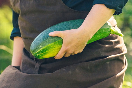 CATTB CA Korpo Backpocket DSC04590 hires