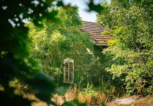 CATTB CA Houtskär Lammasloma CAP06758 hires