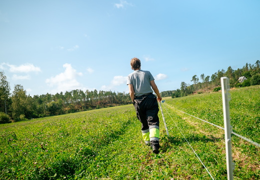 CATTB CA Houtskär Lammasloma CAP06771 hires