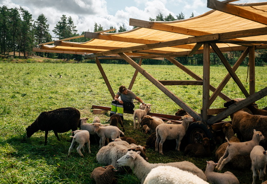 CATTB CA Houtskär Lammasloma CAP06877 hires