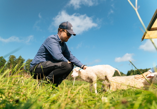CATTB CA Houtskär Lammasloma CAP06899 hires