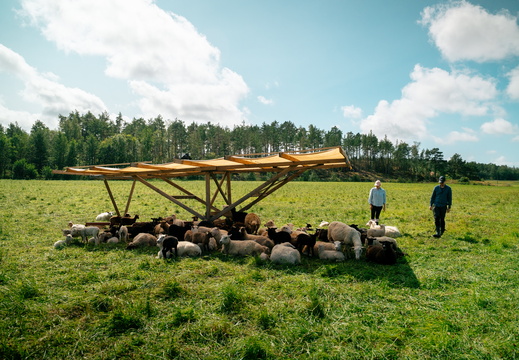 CATTB CA Houtskär Lammasloma CAP06904 hires
