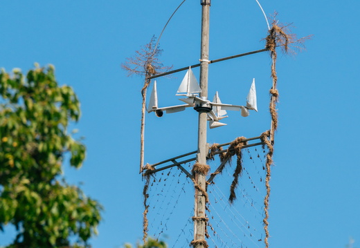 CATTB CA Houtskär Lammasloma DSC04688 hires