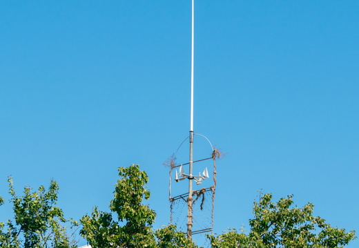CATTB CA Houtskär Lammasloma DSC04690 hires