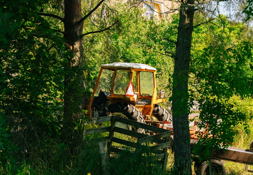 CATTB CA Houtskär Lammasloma DSC04695 hires