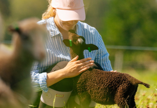 CATTB CA Houtskär Lammasloma DSC04732 hires