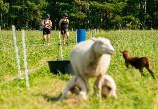 CATTB CA Houtskär Lammasloma DSC04760 hires