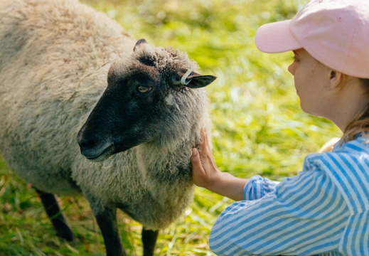 CATTB CA Houtskär Lammasloma DSC04832 hires