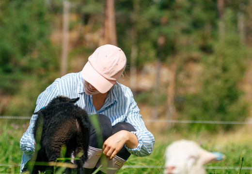 CATTB CA Houtskär Lammasloma DSC04888 hires