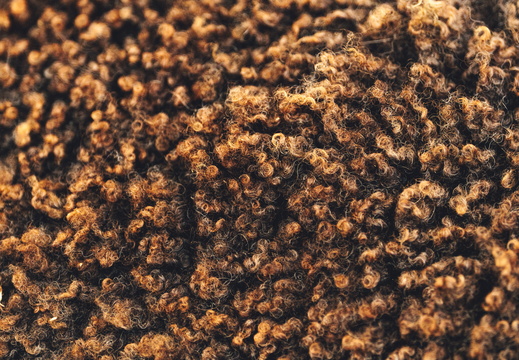 CATTB CA Houtskär Lammasloma DSC04982 hires