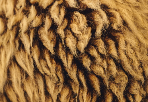 CATTB CA Houtskär Lammasloma DSC04987 hires