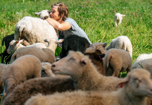 CATTB CA Houtskär Lammasloma DSC05018 hires