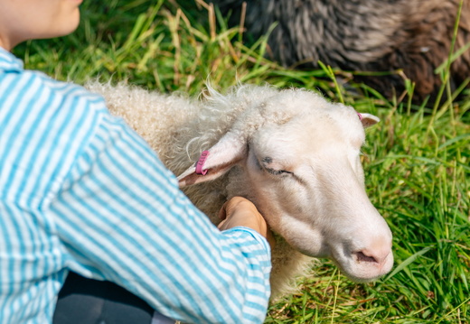 CATTB CA Houtskär Lammasloma DSC05027 hires