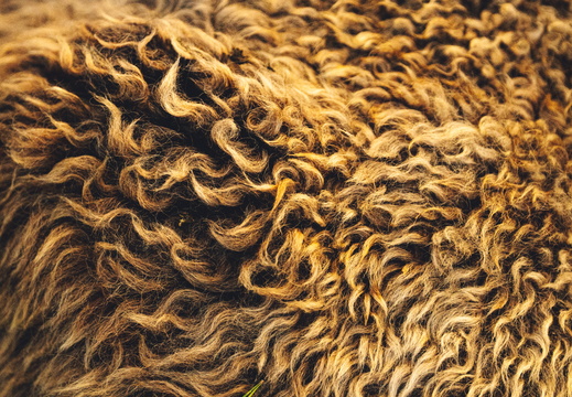 CATTB CA Houtskär Lammasloma DSC05035 hires