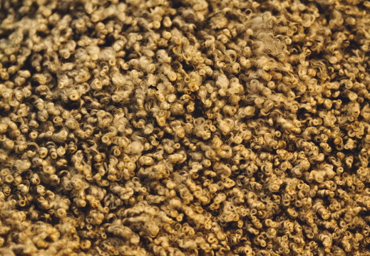 CATTB CA Houtskär Lammasloma DSC05037 hires